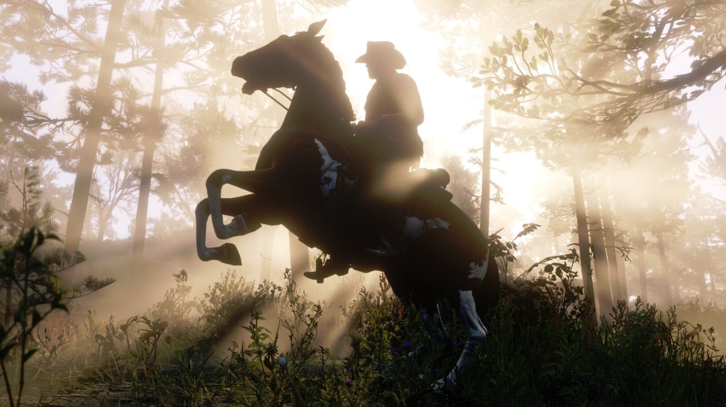 Red Dead Redemption 2 ULTIMATE EDITION PC Rockstar Key GLOBAL FAST DELIVERY! RPG